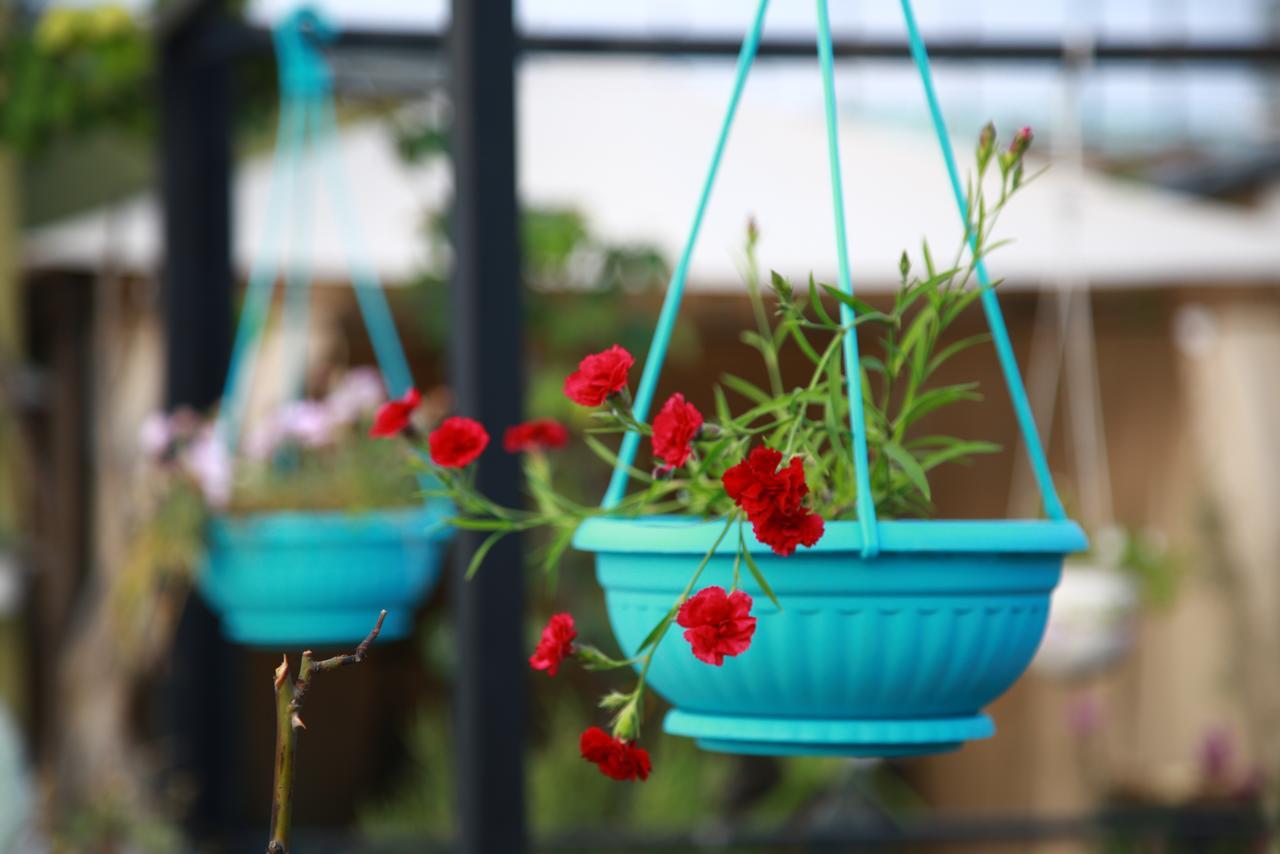 Terrace Garden Boutique Hotel Tiflis Dış mekan fotoğraf